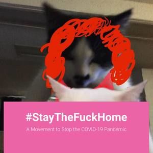 Meet your Posher, Candace